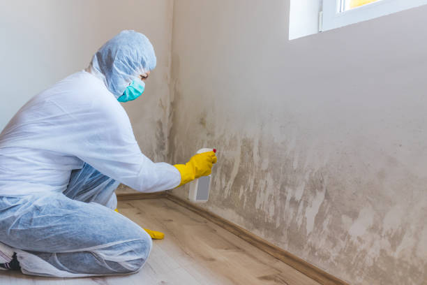 Mold Remediation specialist working in San Antonio